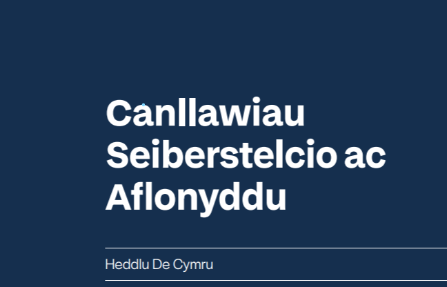 Canllawiau Seiberstelcio ac Aflonyddu - Cymraeg