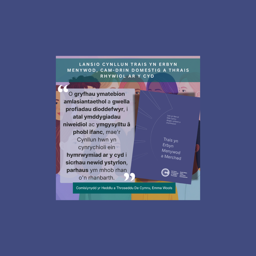 Cynllun Trais yn Erbyn Menywod, Cam-drin Domestig a Thrais Rhywiol ar y Cyd De Cymru