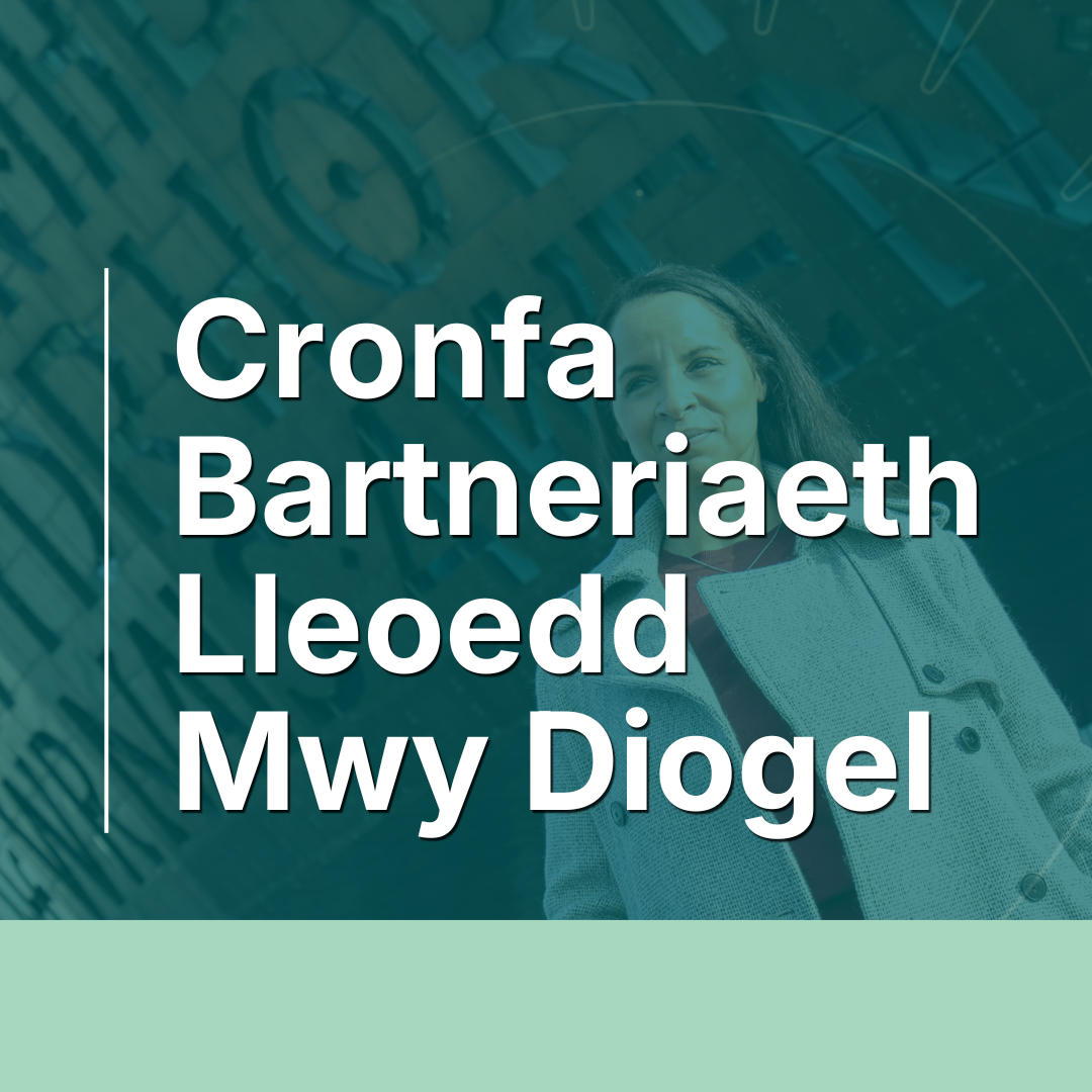 Cronfa Bartneriaeth Lleoedd Mwy Diogel